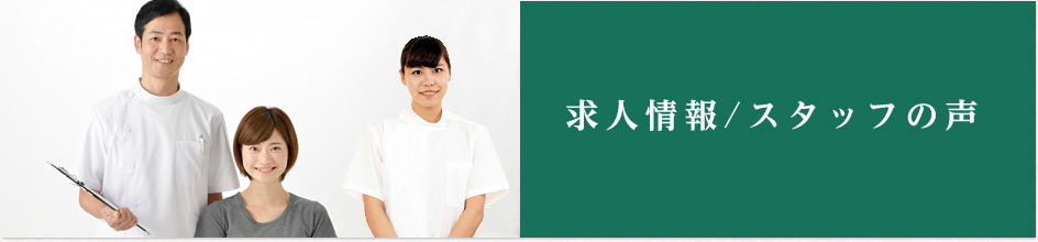 求人情報/スタッフの声